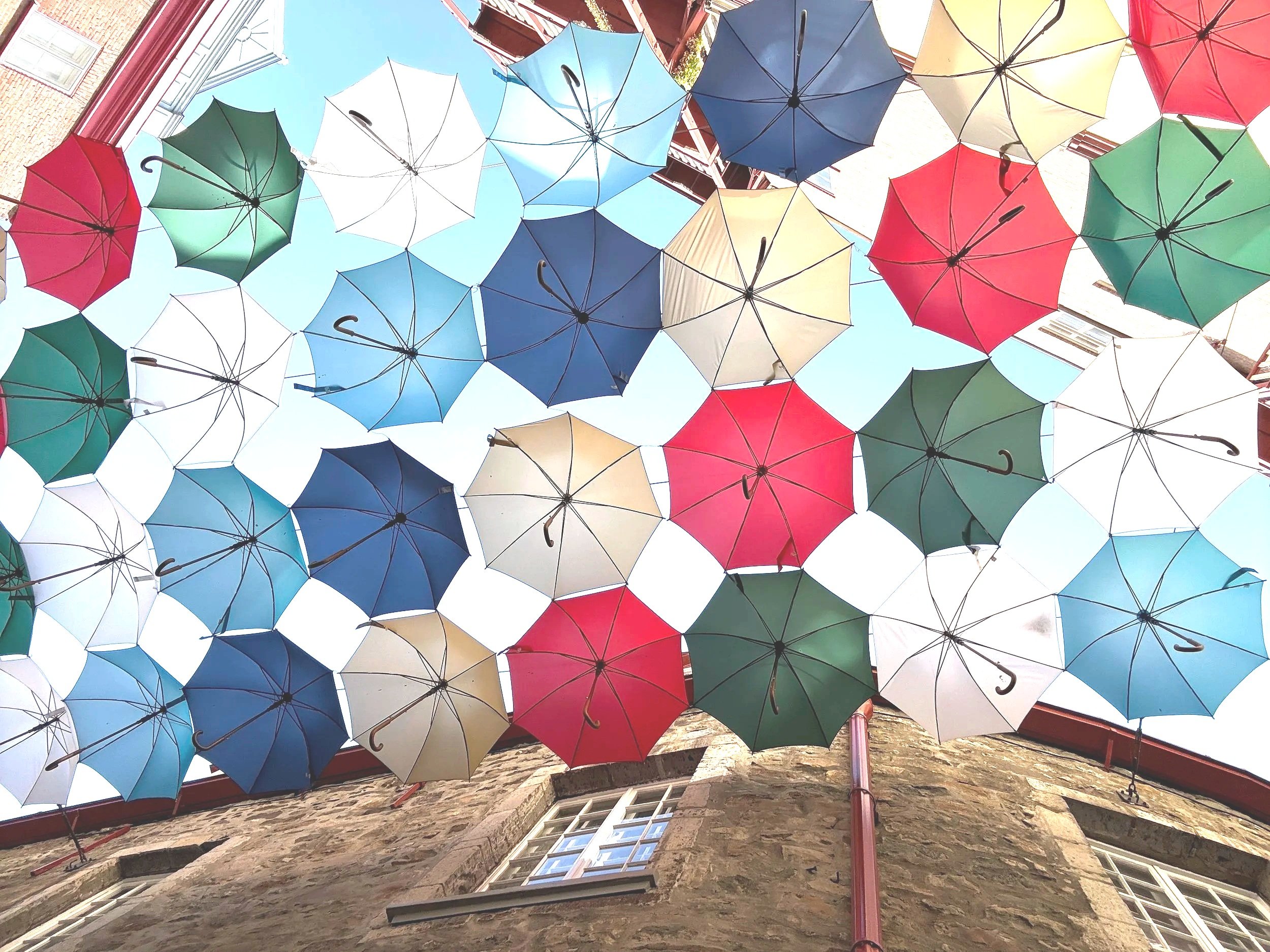 Be Your Own Best Friend