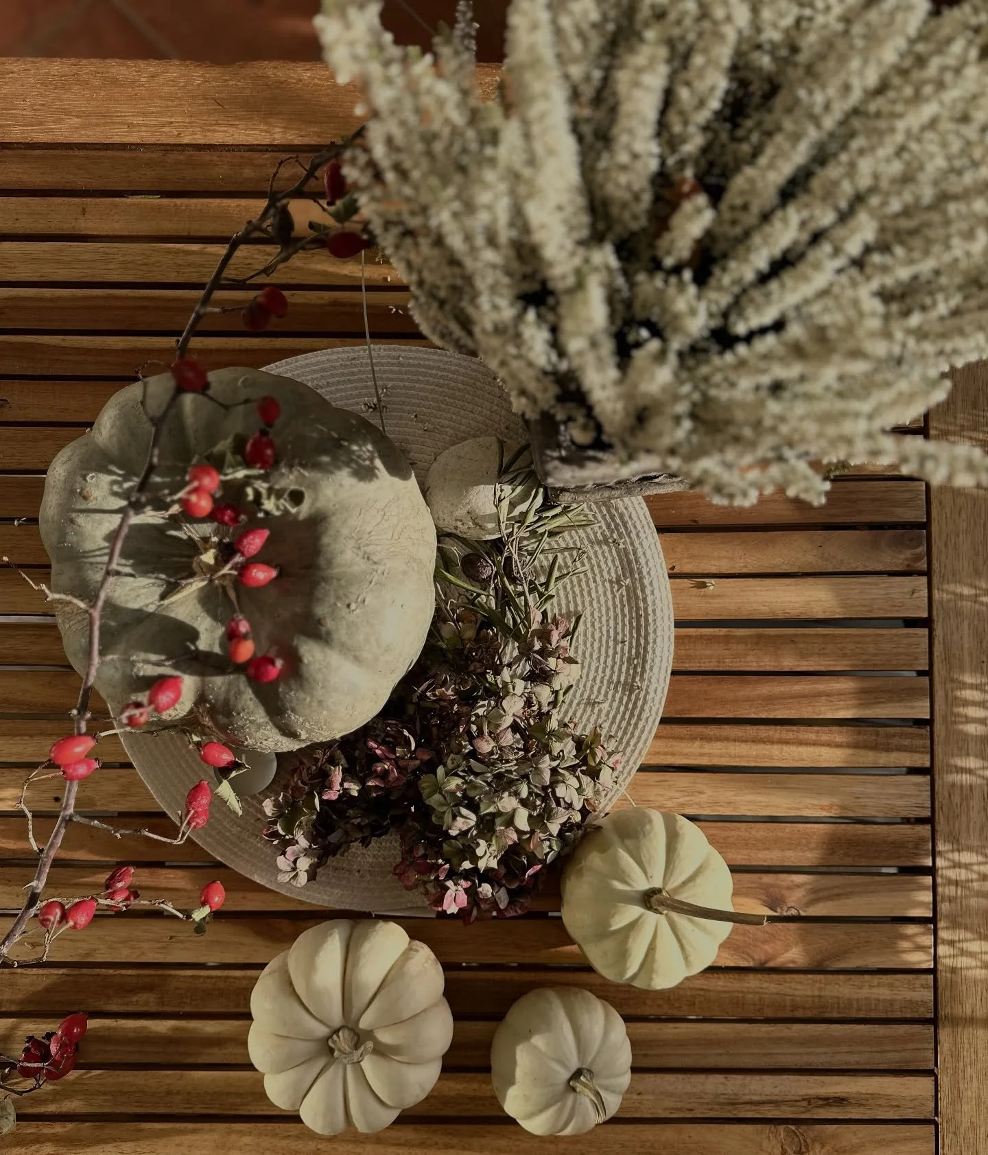 We brought a bit of autumn to our terrace, even if the days still feel like summer.
So we decorated a little — just enough to bring that cozy autumn vibe. 
It’s not exactly pumpkin season by the sea… but we couldn’t resist. ?