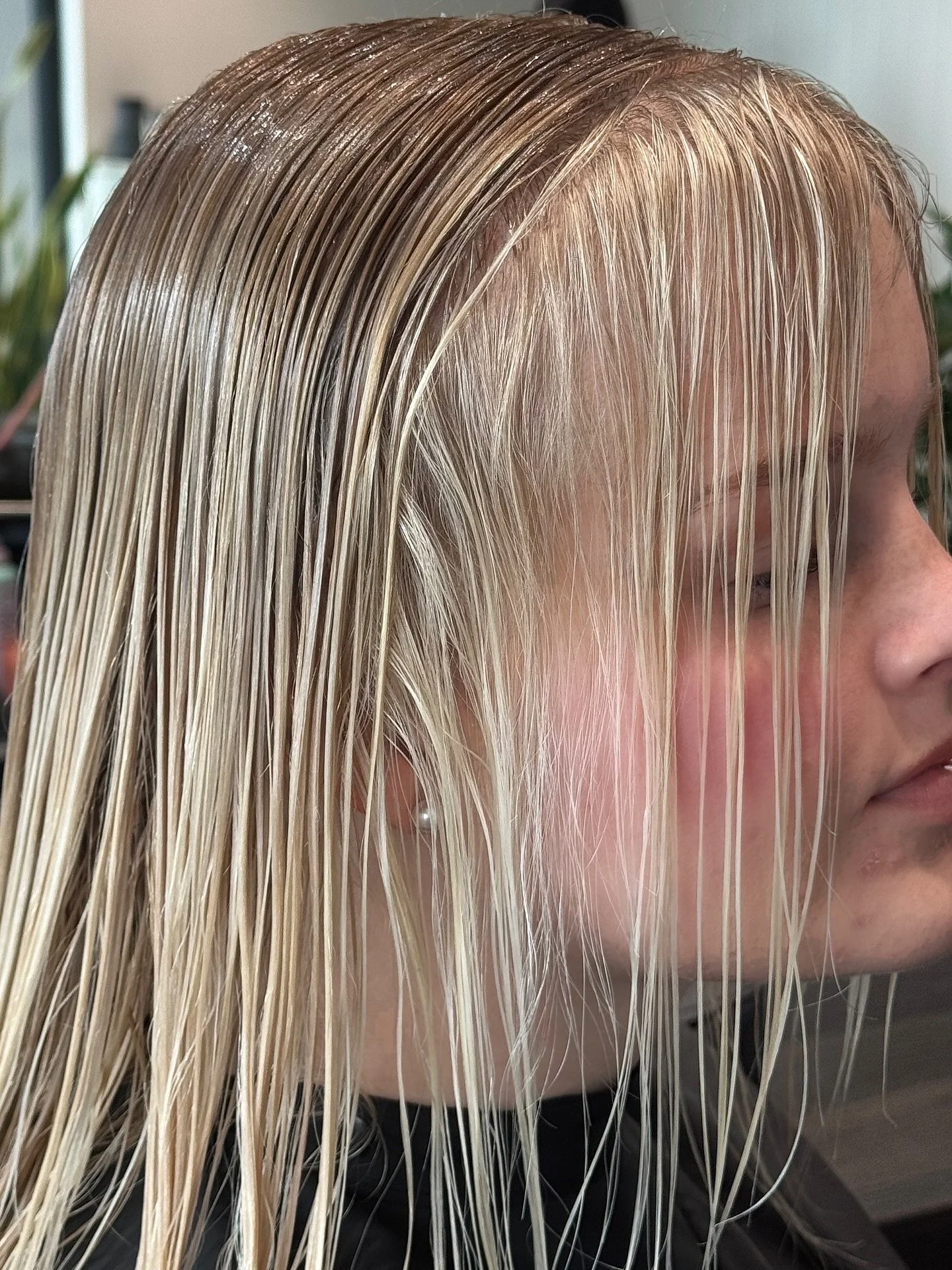 Grateful for all my beautiful clients 💌

🏷️ BLONDE, ADELAIDE SALON, ADELAIDE HAIR, HEALTHY HAIR

#hairgoals #hairdresser #hairfashion #healthyhair⁠ #betterhair #hairgameonpoint #hairofinsta #adelaidehair⁠ #hairenvy #adelaidesalon #adelaidehairsalon