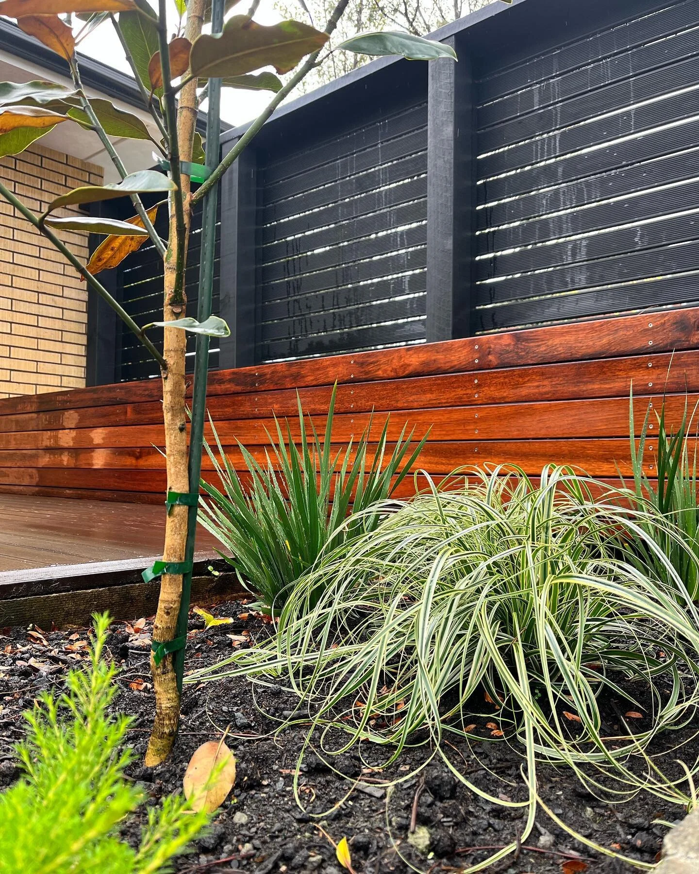 Love the vibrant contrasts after a little rain.  At Oasis Outdoors we love to construct amazing landscapes but also equally love to design them! If you&rsquo;re  in need of a creative boost to your gardens vision then we are here to help!