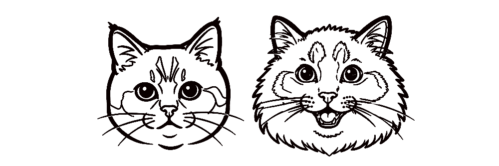 Line drawing of two cat faces side by side, showing different fur patterns and facial expressions.
