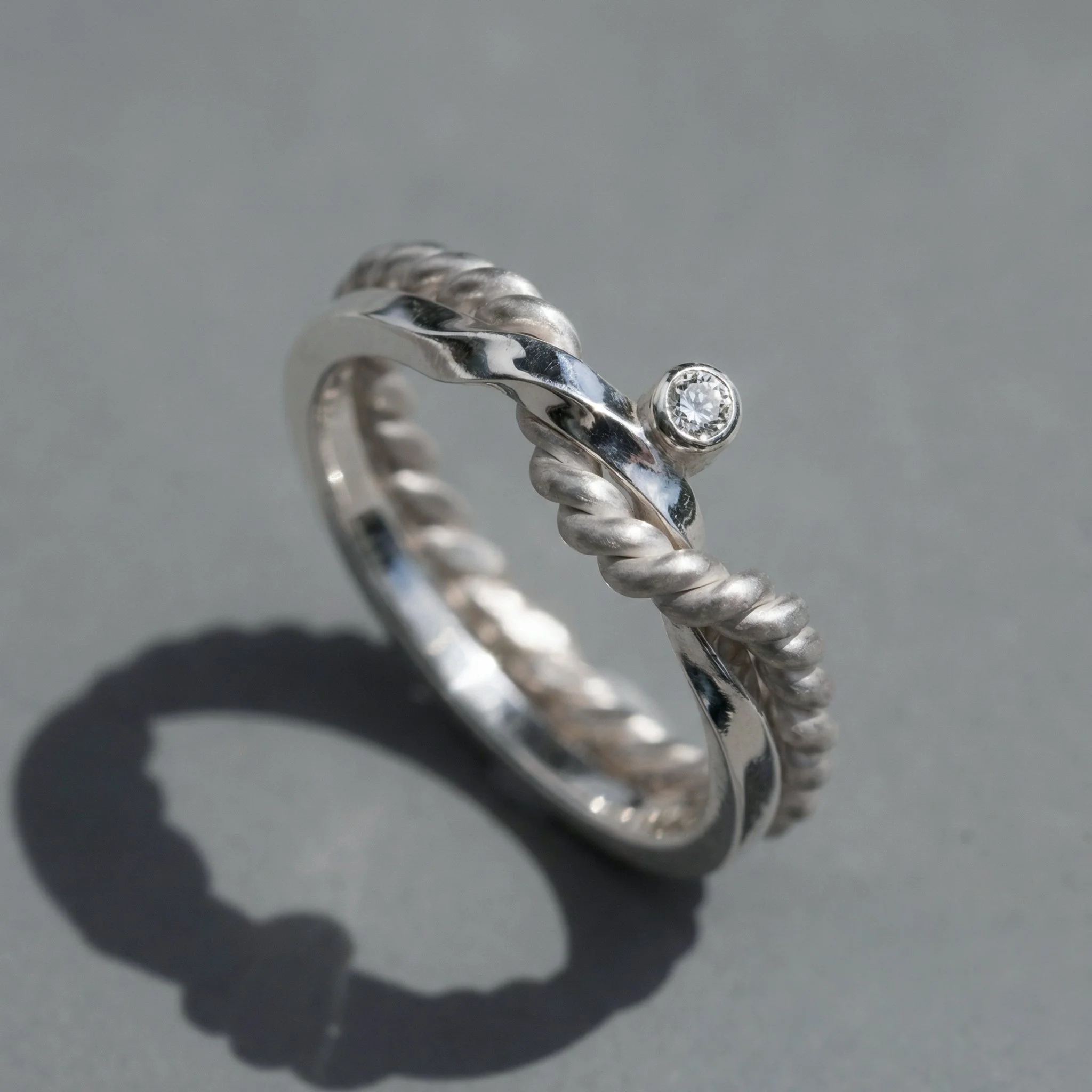 Generated Image January 09, 2026 - 12_03PM.jpg