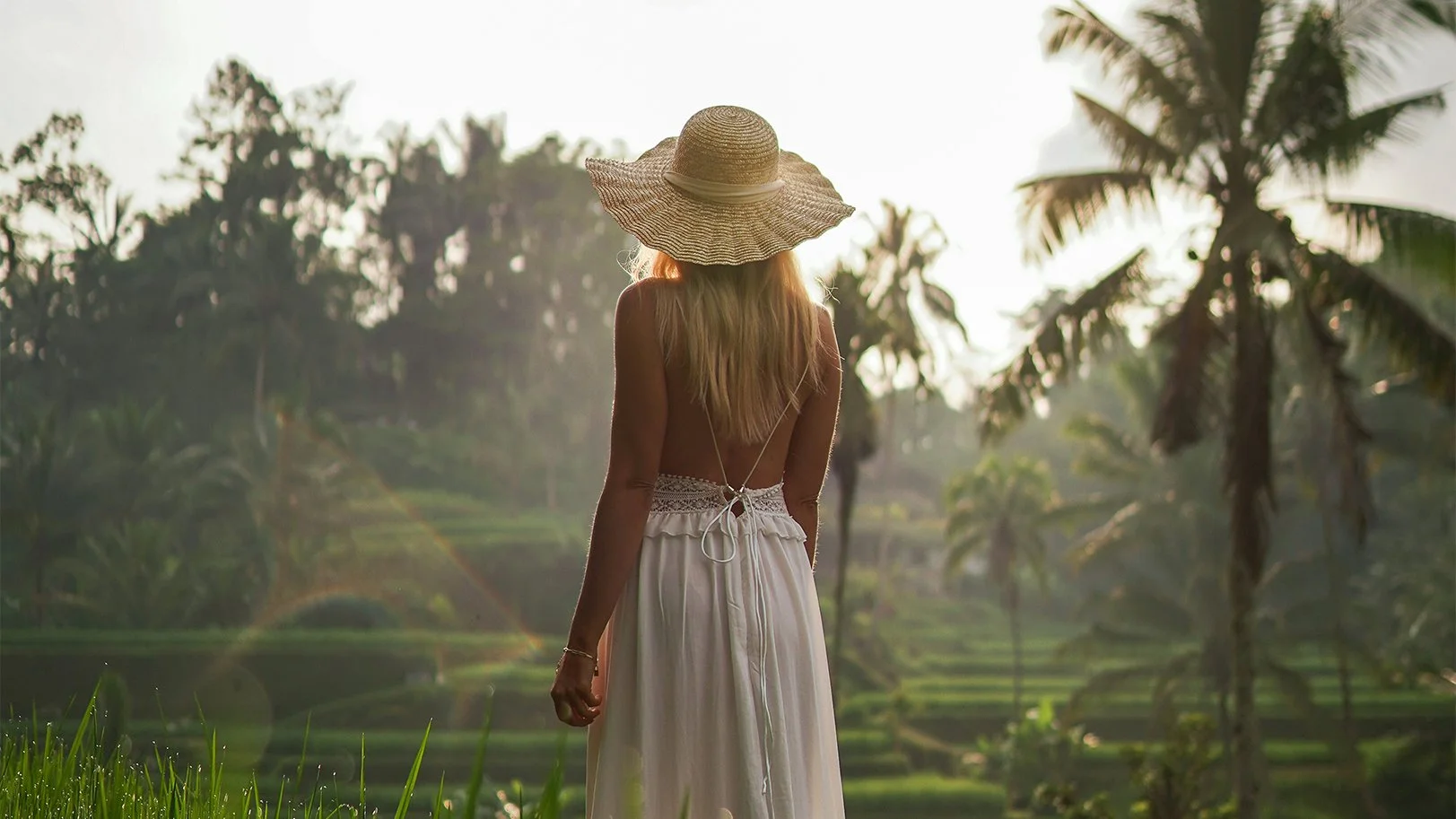 bali rice field