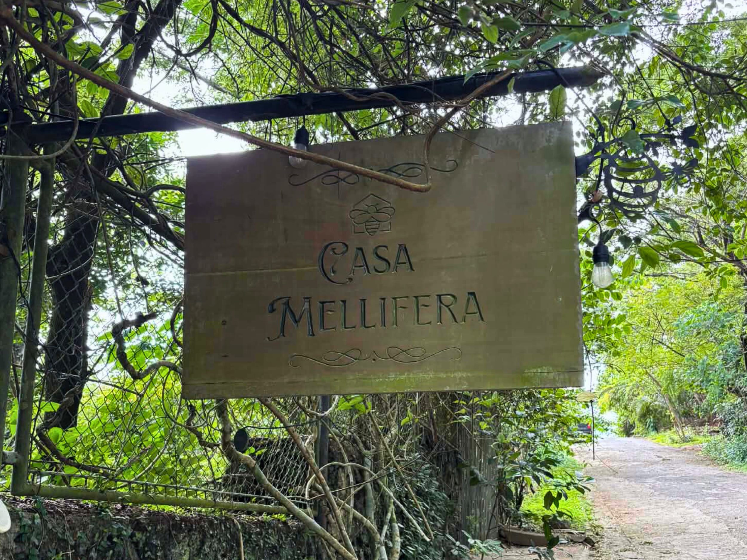 A Taste of Honey: The Sweet Escape Awaits at Casa Mellifera Apiary &amp; Restaurant
