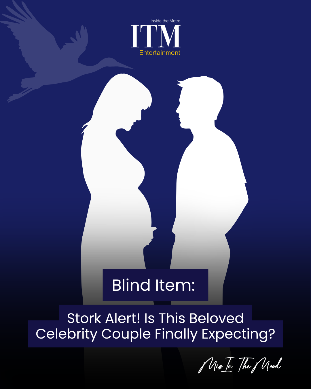 BLIND ITEM: Stork Alert! Is This Beloved Celebrity Couple Finally Expecting?
