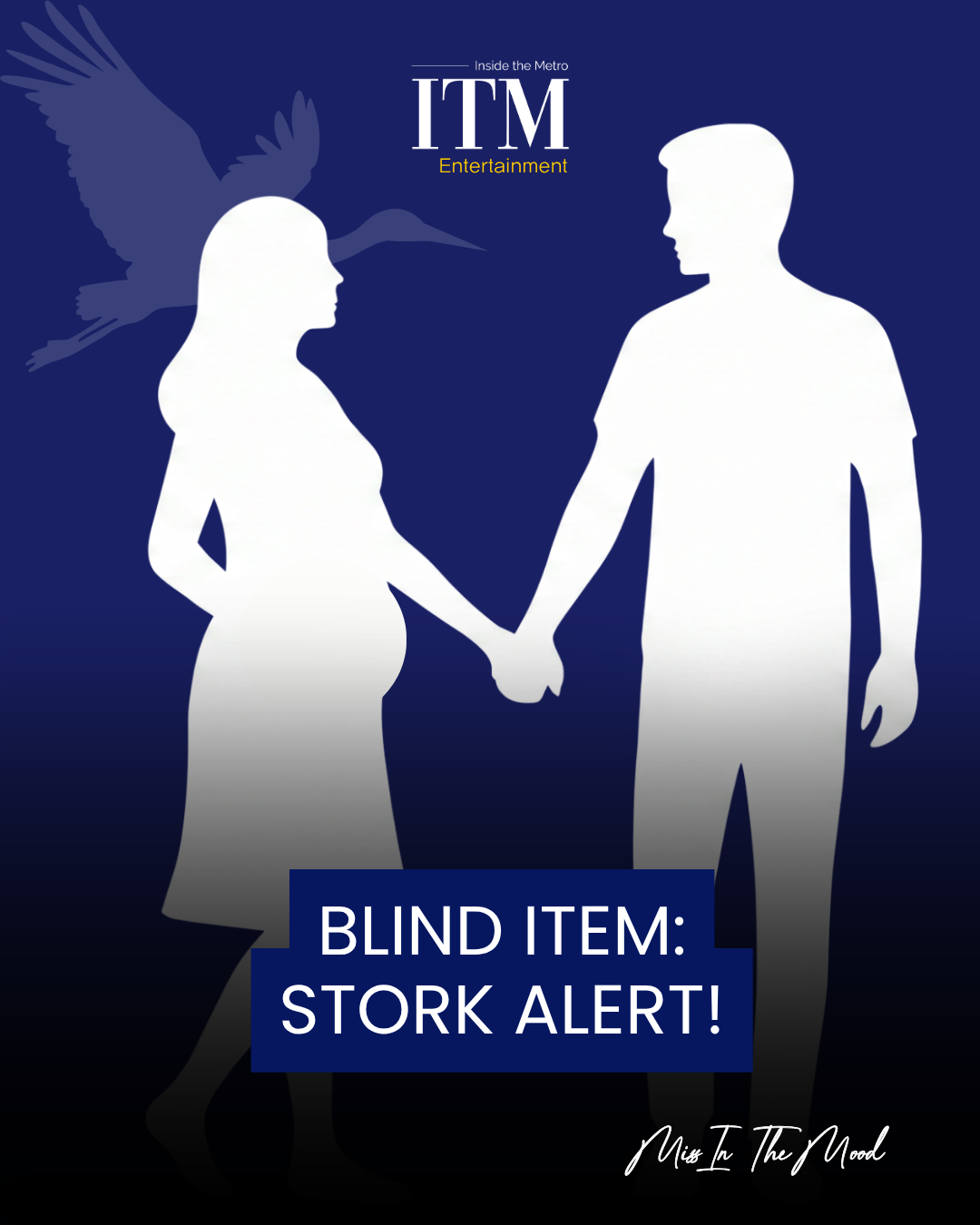 Blind Item: STORK ALERT! 