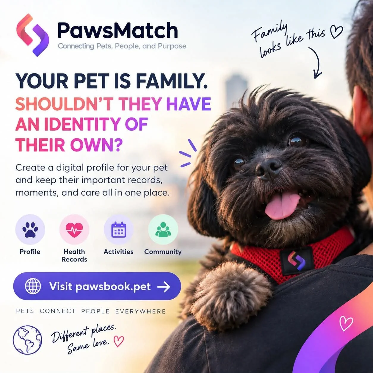 From Passion to Pet Tech: Erich Lim and the Team Behind Paws Match Are Building a More Connected Future for Filipino Pet Owners