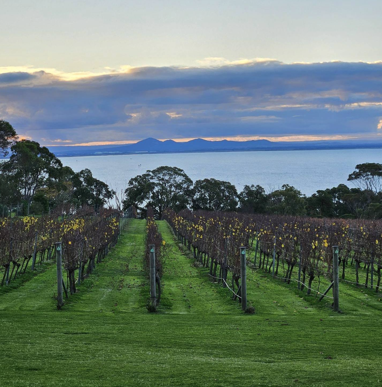 Screenshot 2026-02-07 at 9.41.08 pm.png