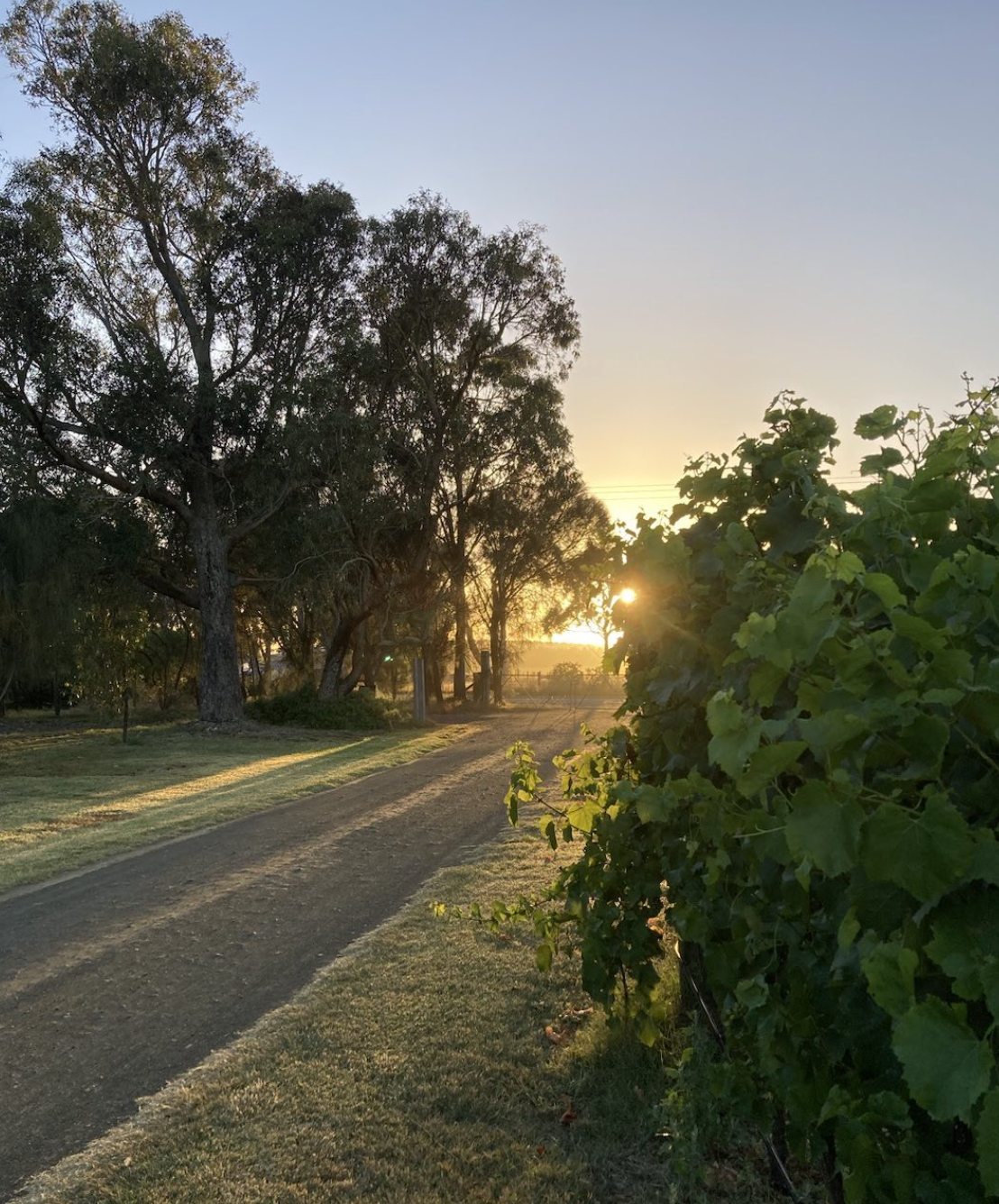 Screenshot 2026-02-07 at 7.54.05 pm.png