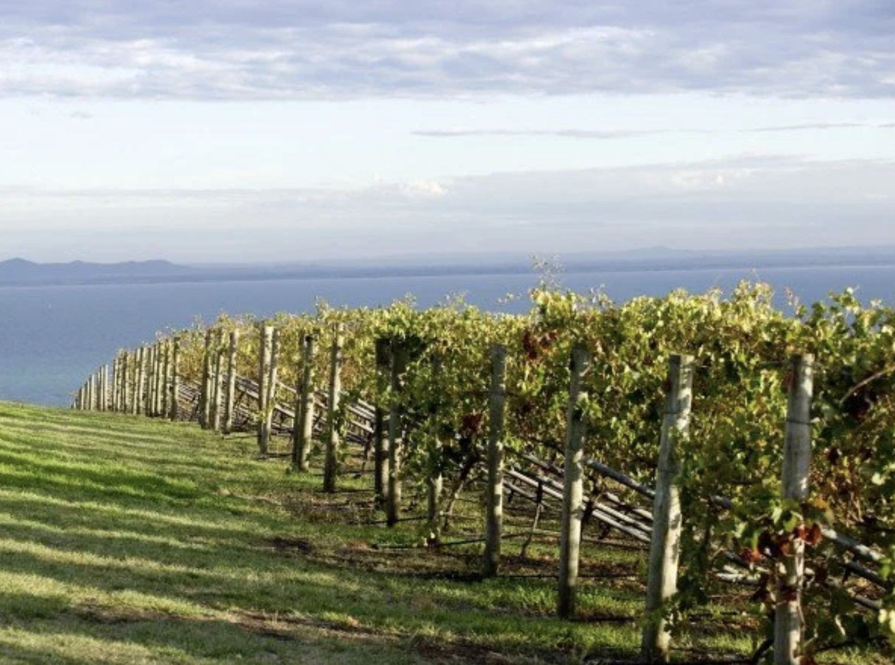 Screenshot 2025-12-21 at 8.39.31 pm.png