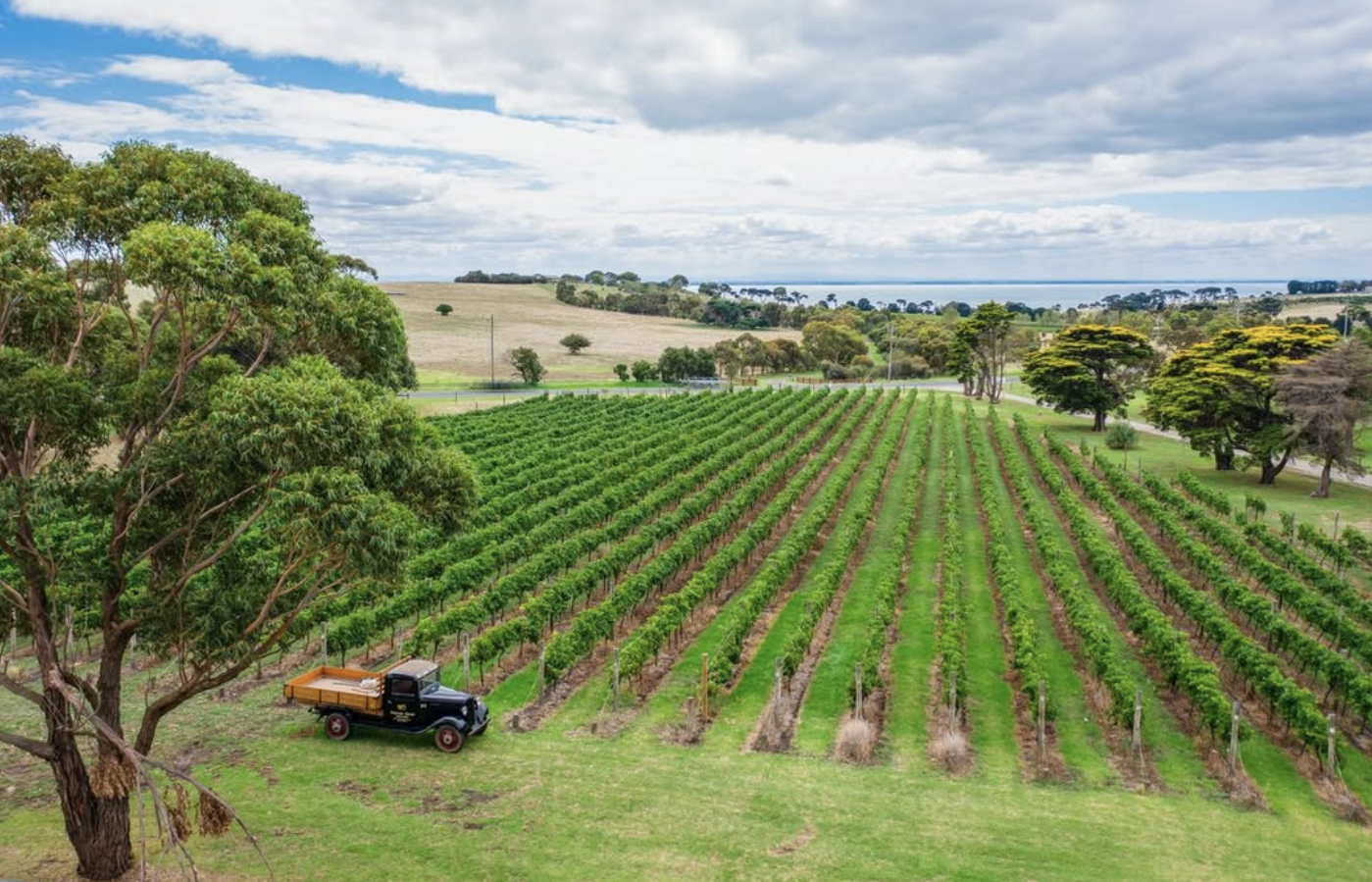 Screenshot 2026-02-07 at 7.44.46 pm.png