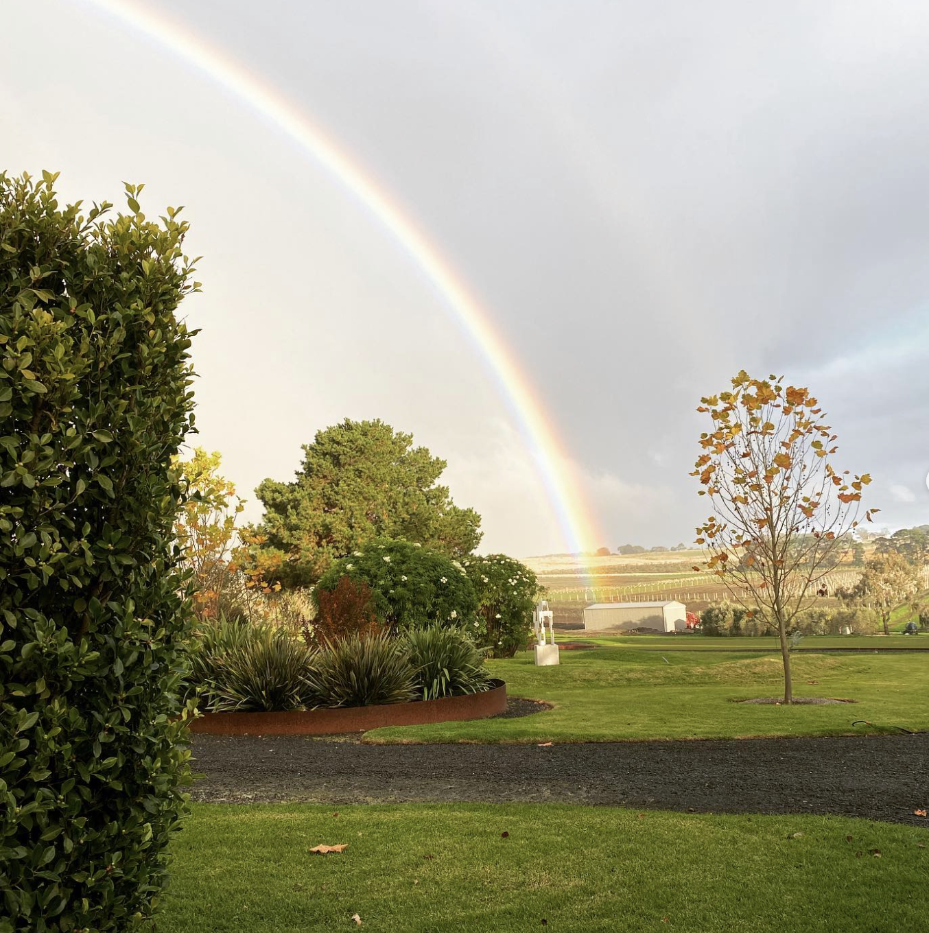 Screenshot 2026-02-07 at 9.23.52 pm.png