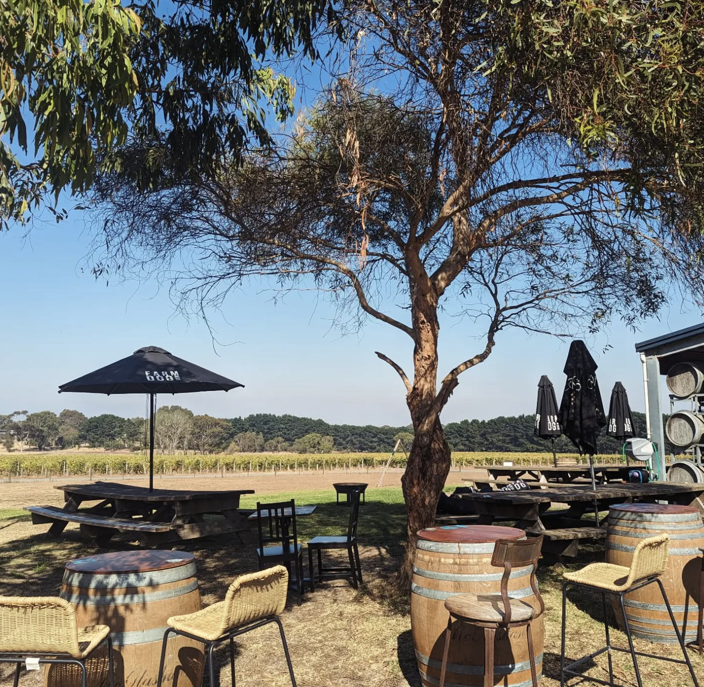 Screenshot 2026-02-07 at 8.40.18 pm.png