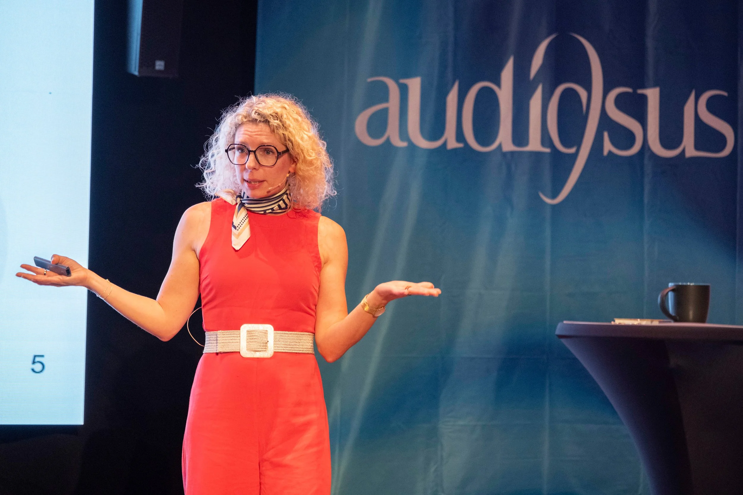 Audiosus26_0252.jpg