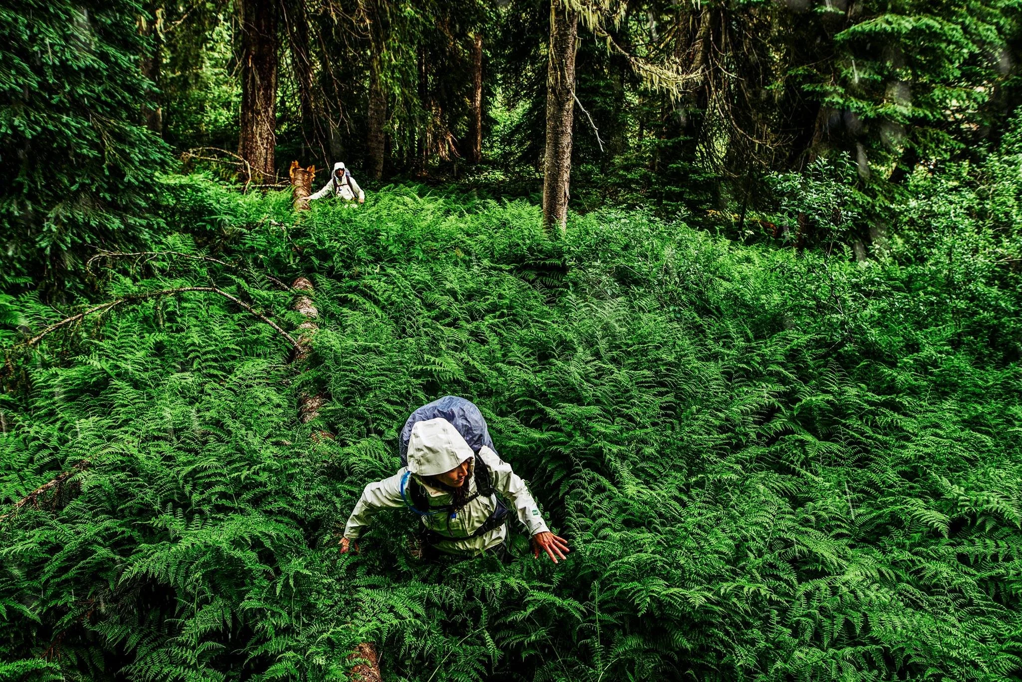 Sustainability Stories