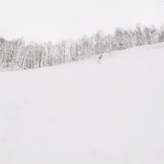 Columbia_Sportswear_-_Ski_Loop_AdobeExpress.gif
