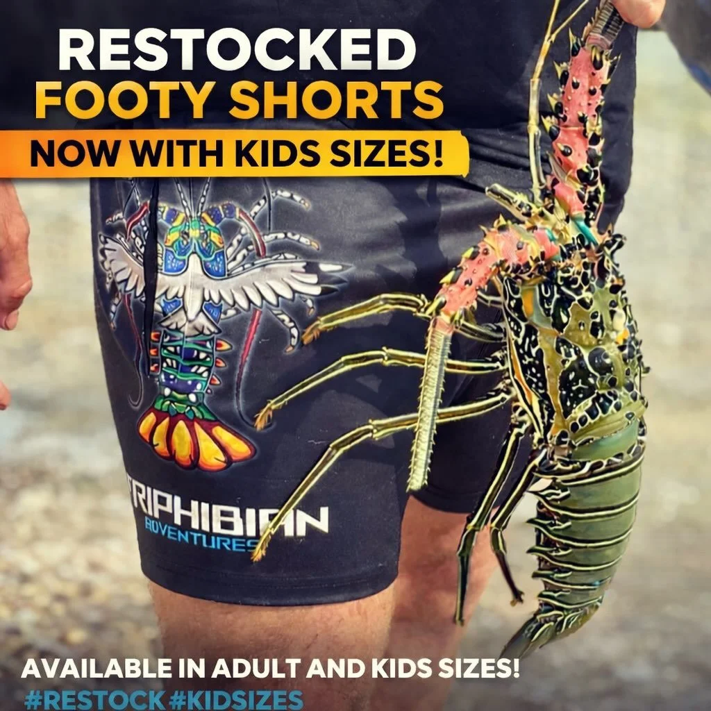 Our footy shorts are officially back in stock and this time we have added kids sizes 🙌
Dont miss out again - sizes won&rsquo;t last long. 

#restock #footyshortswithpockets #kidsfootyshorts #merchrestock