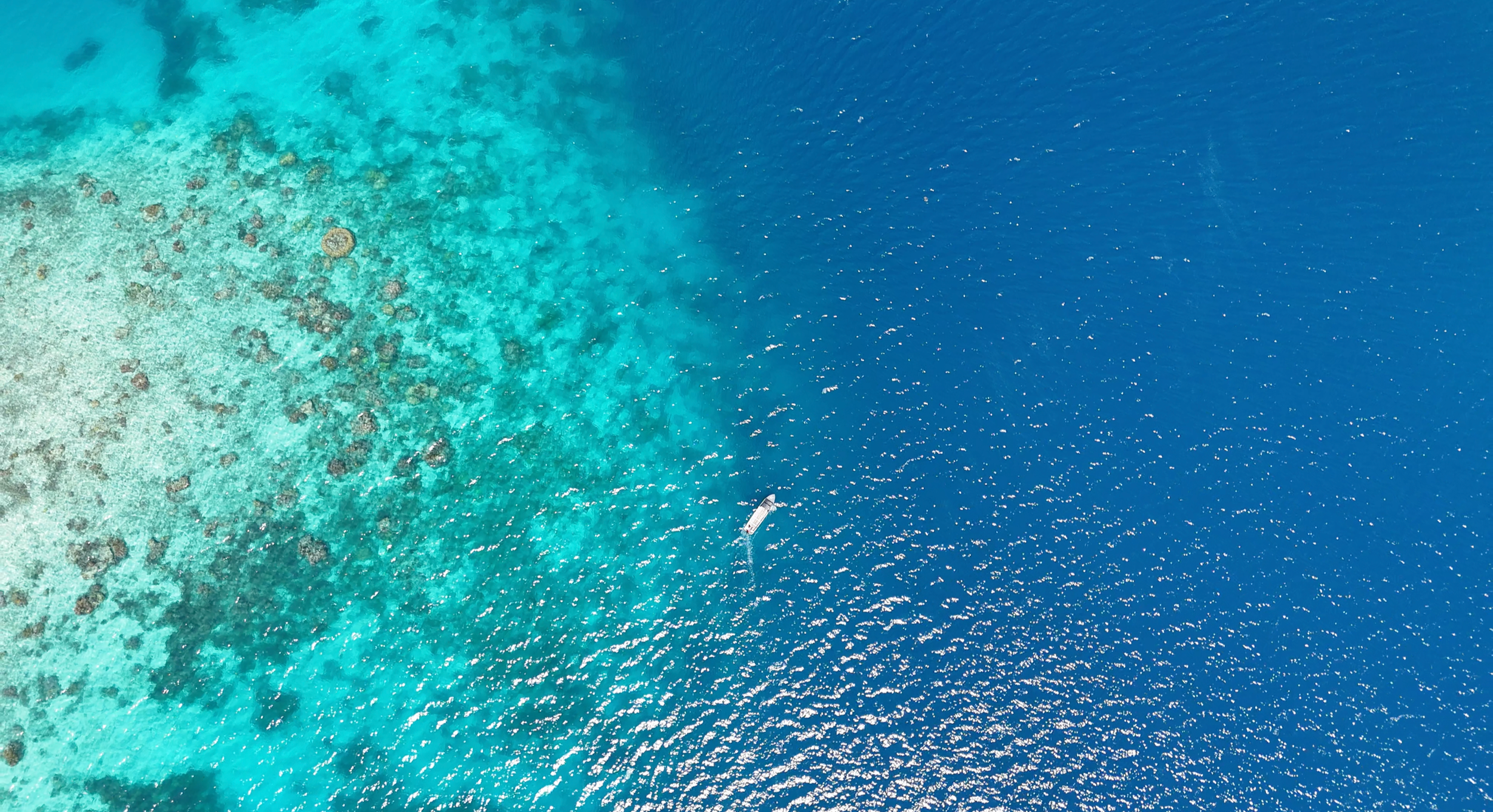 Aerial view of the ocean with a coral reef on the left and deep blue water on the right, with a boat floating in the water.