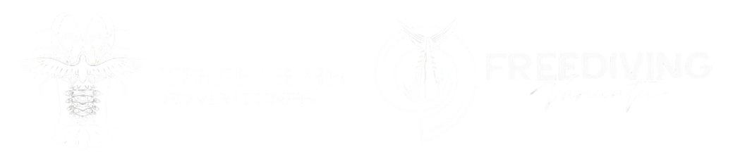 Triphibian Adventures