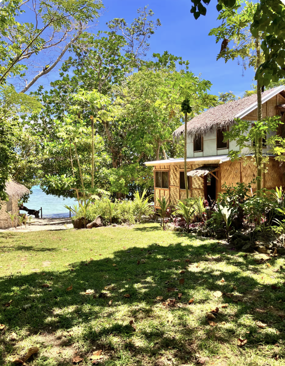 A tropical scene featuring a wooden hut with a thatched roof, surrounded by lush greenery, trees, and plants, with a view of the ocean in the background on a sunny day.