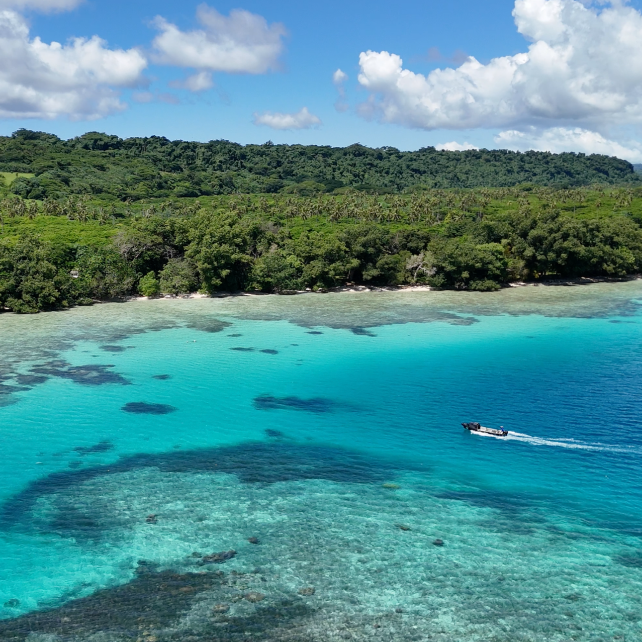 Tropical landscape with clear turquoise water, a lush green forest along the shoreline in Ambuie Bay Aore Island
