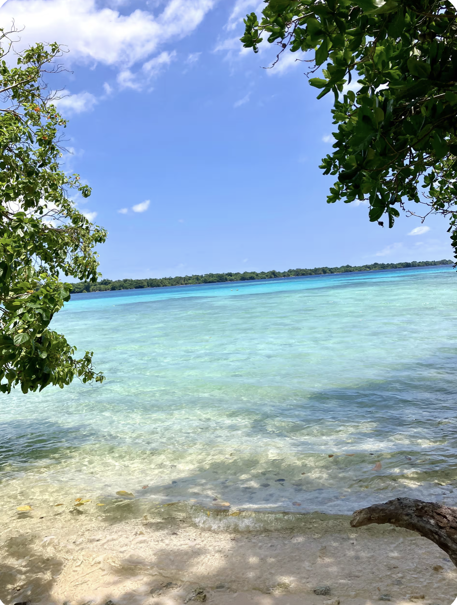 Tropical beach with clear turquoise water, sandy shore, green foliage, blue sky with some clouds, and distant landmass.