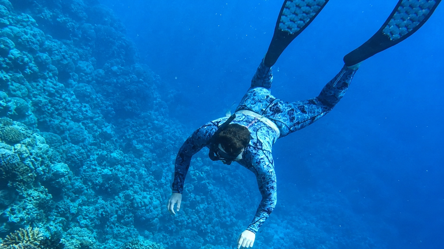 Man freediving at million dollar point