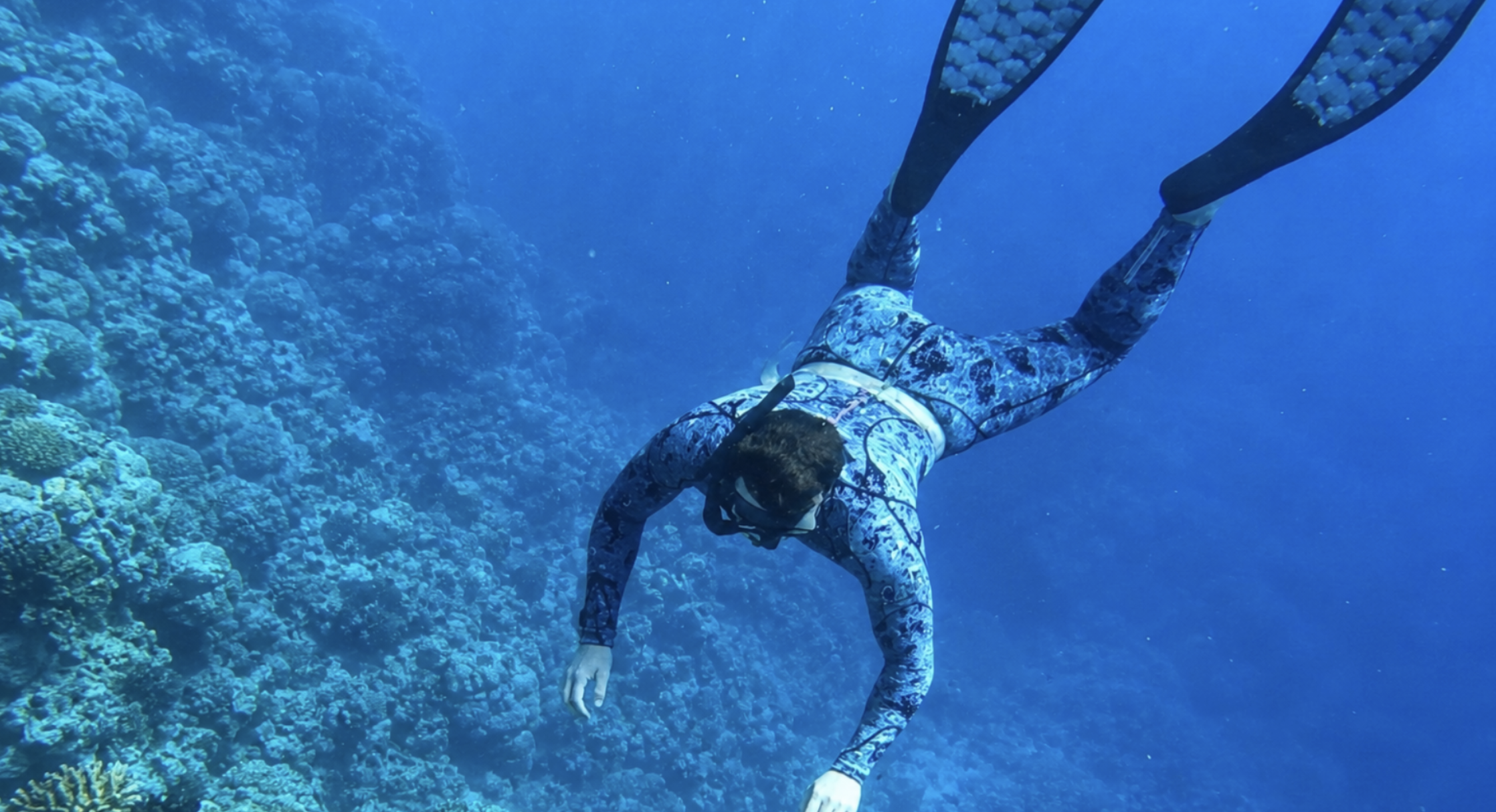 free diver at million dollar point