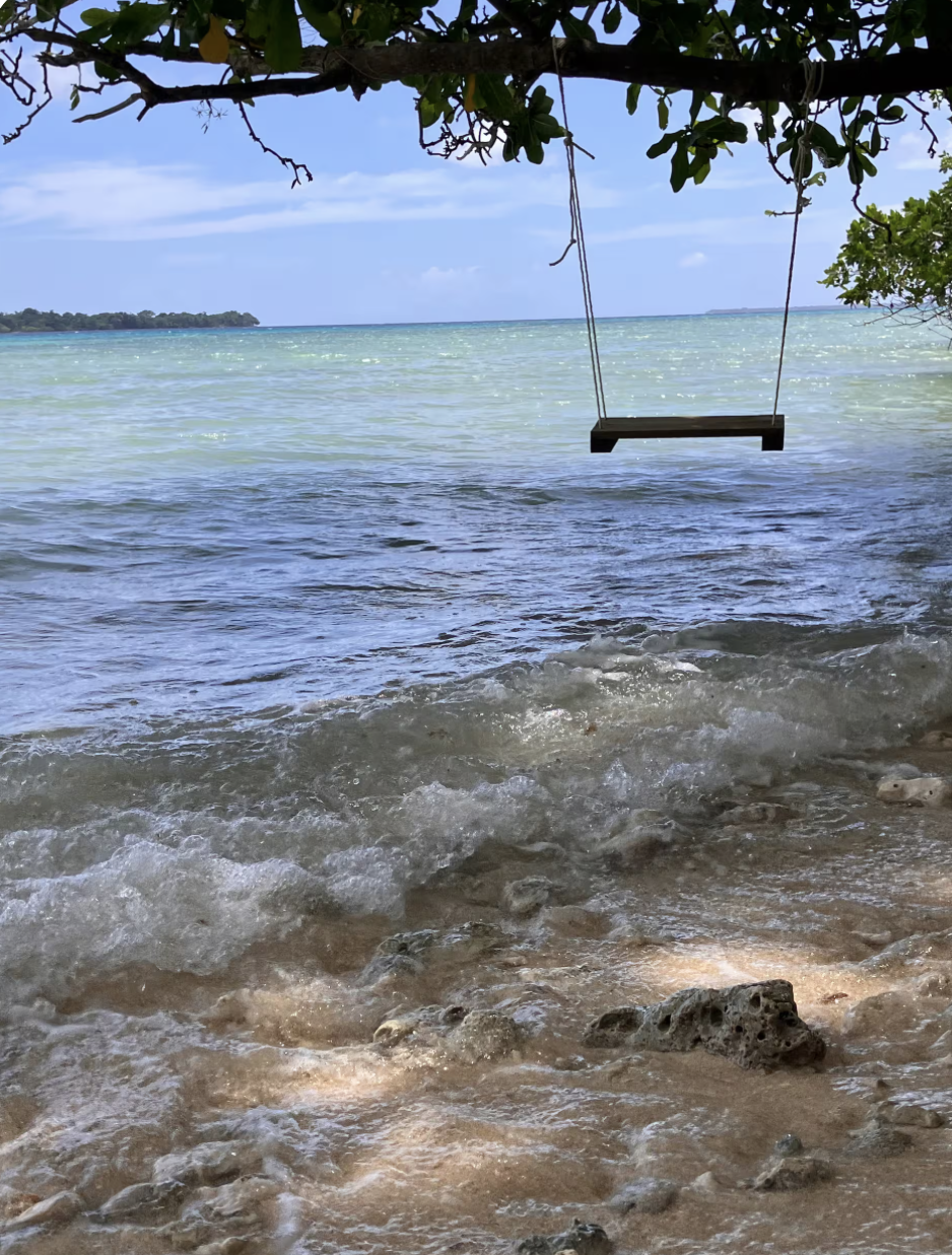 A wooden swing hanging from a tree over a sandy, rocky beach with gentle waves and a view of the ocean under a partly cloudy sky.