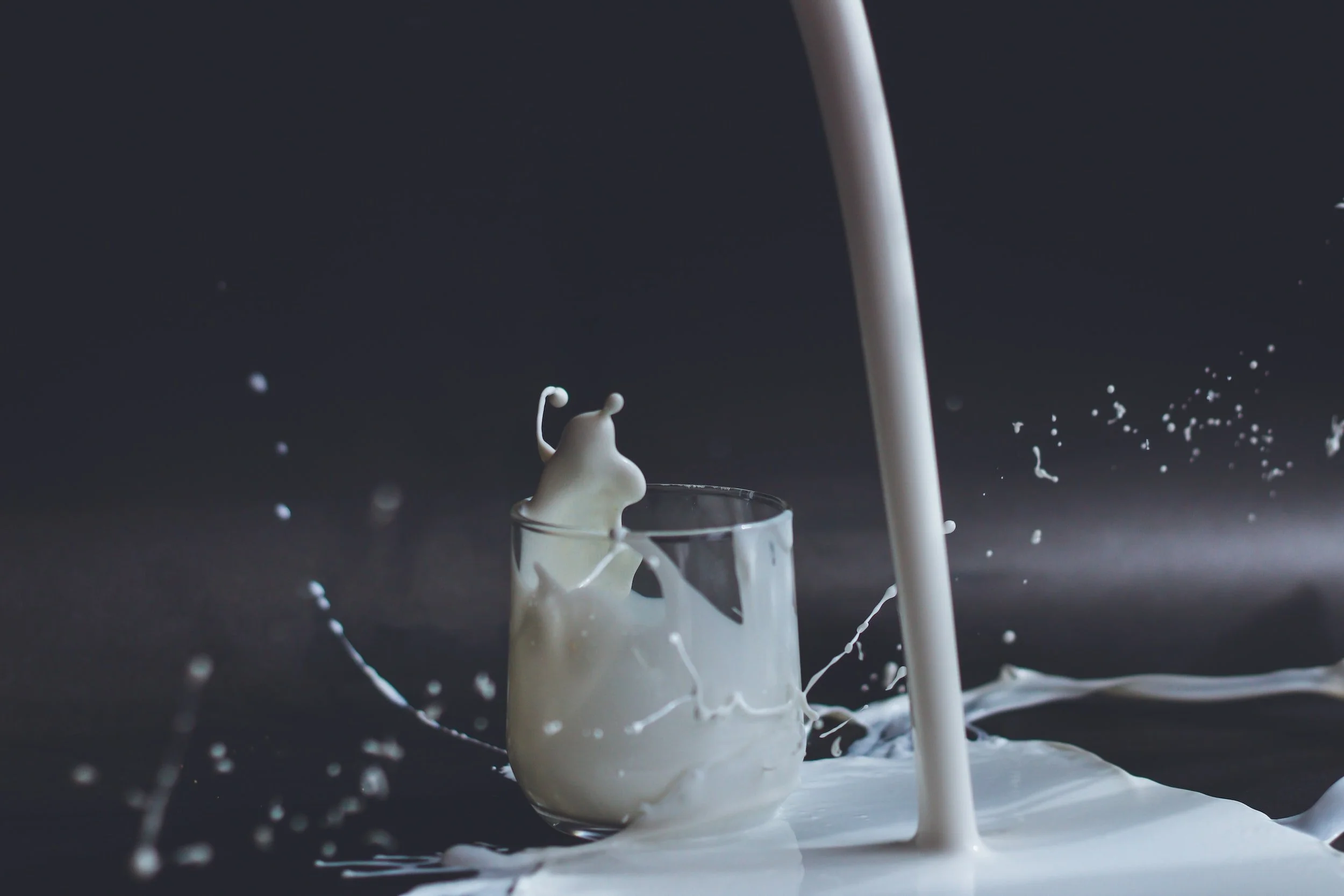 World Milk Day