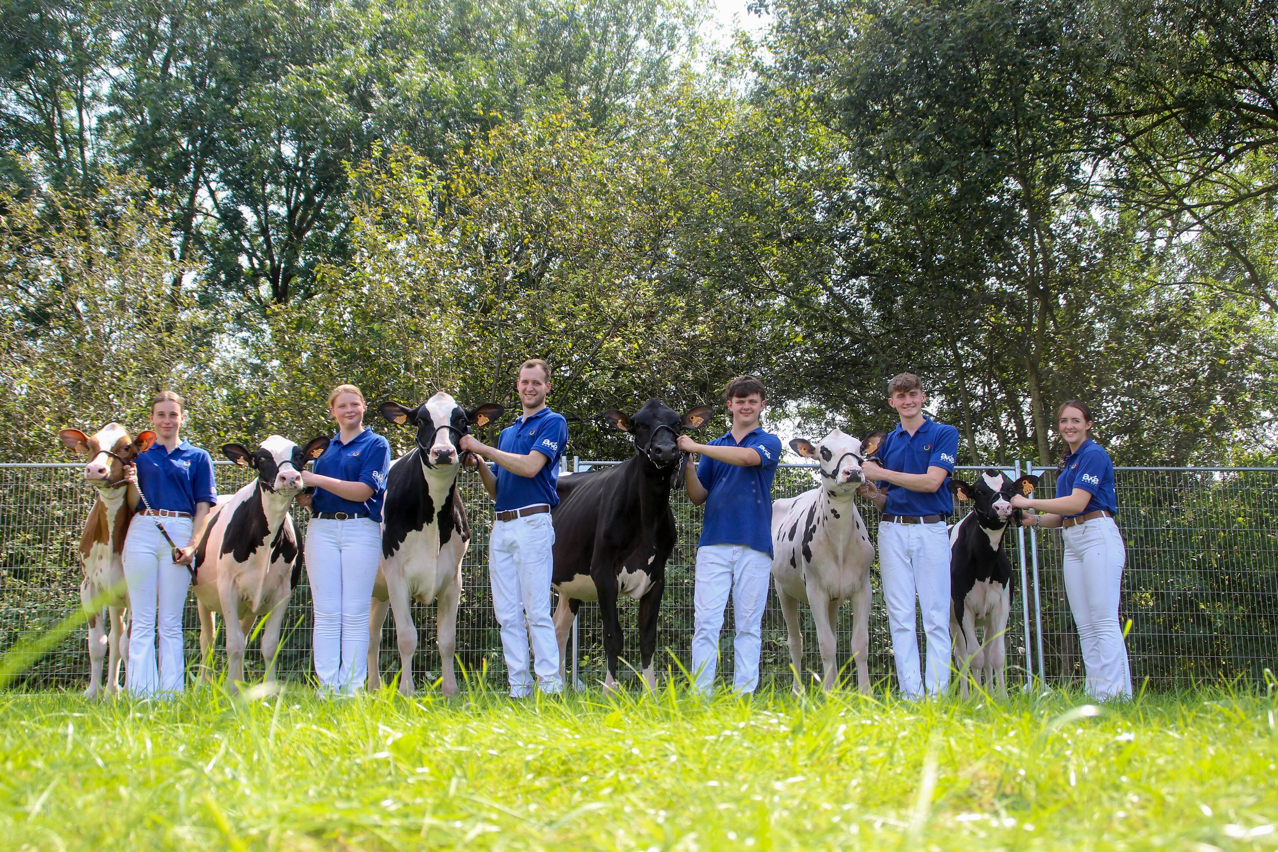 Young Breeders Excel at YBS