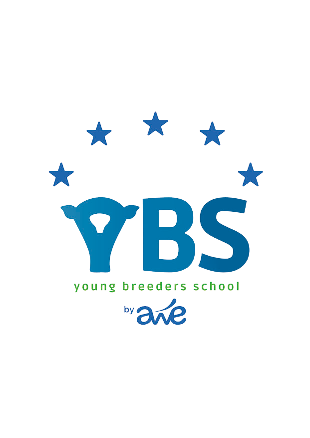 YBS 2025