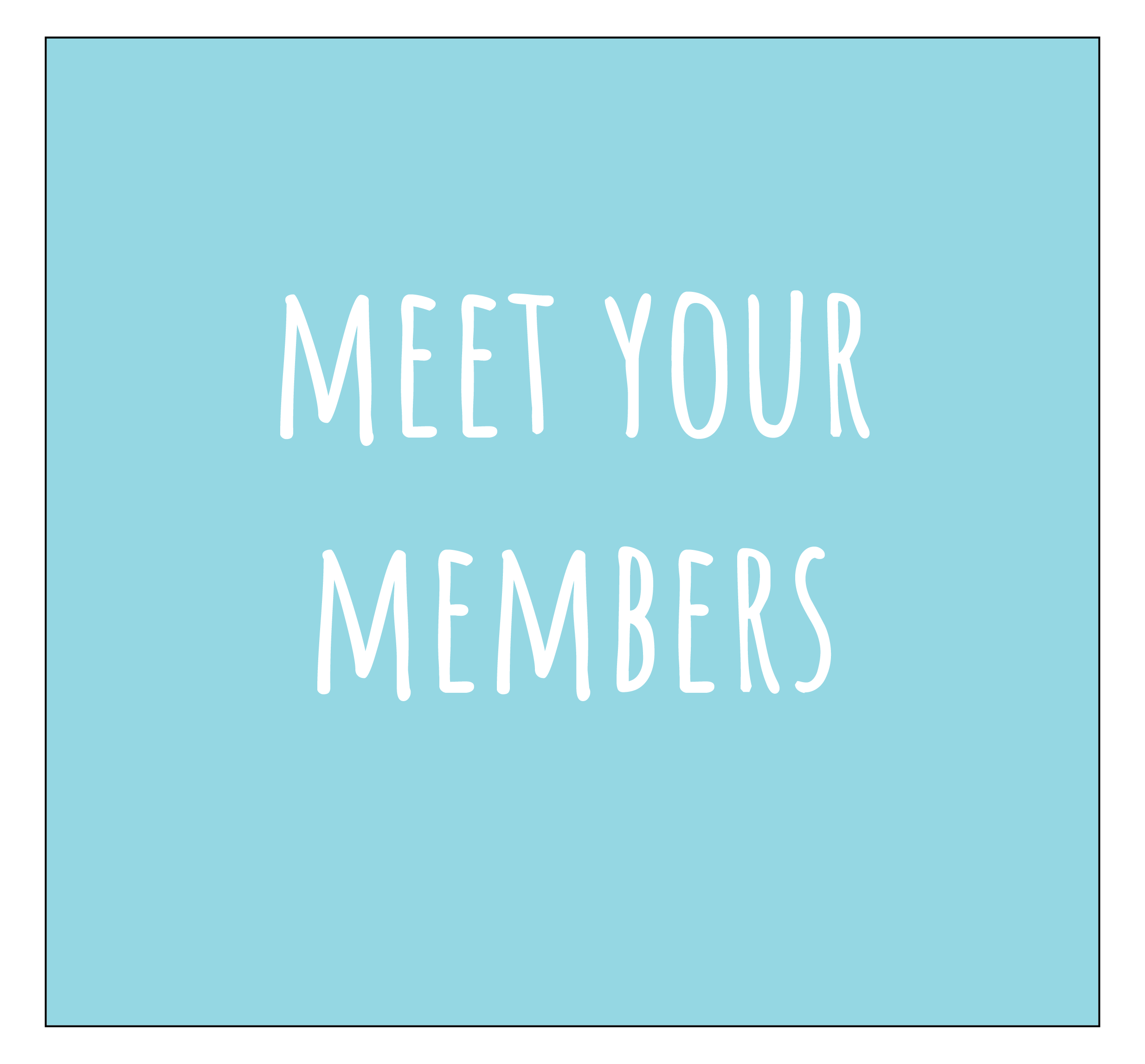 Meet Your Members