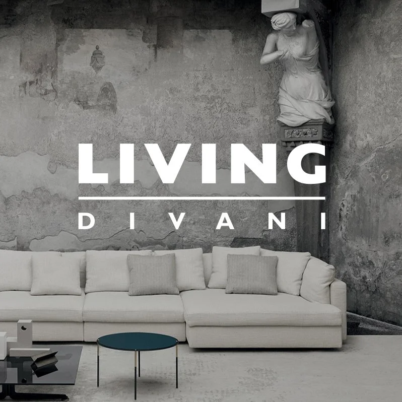 LivingDivani.jpeg