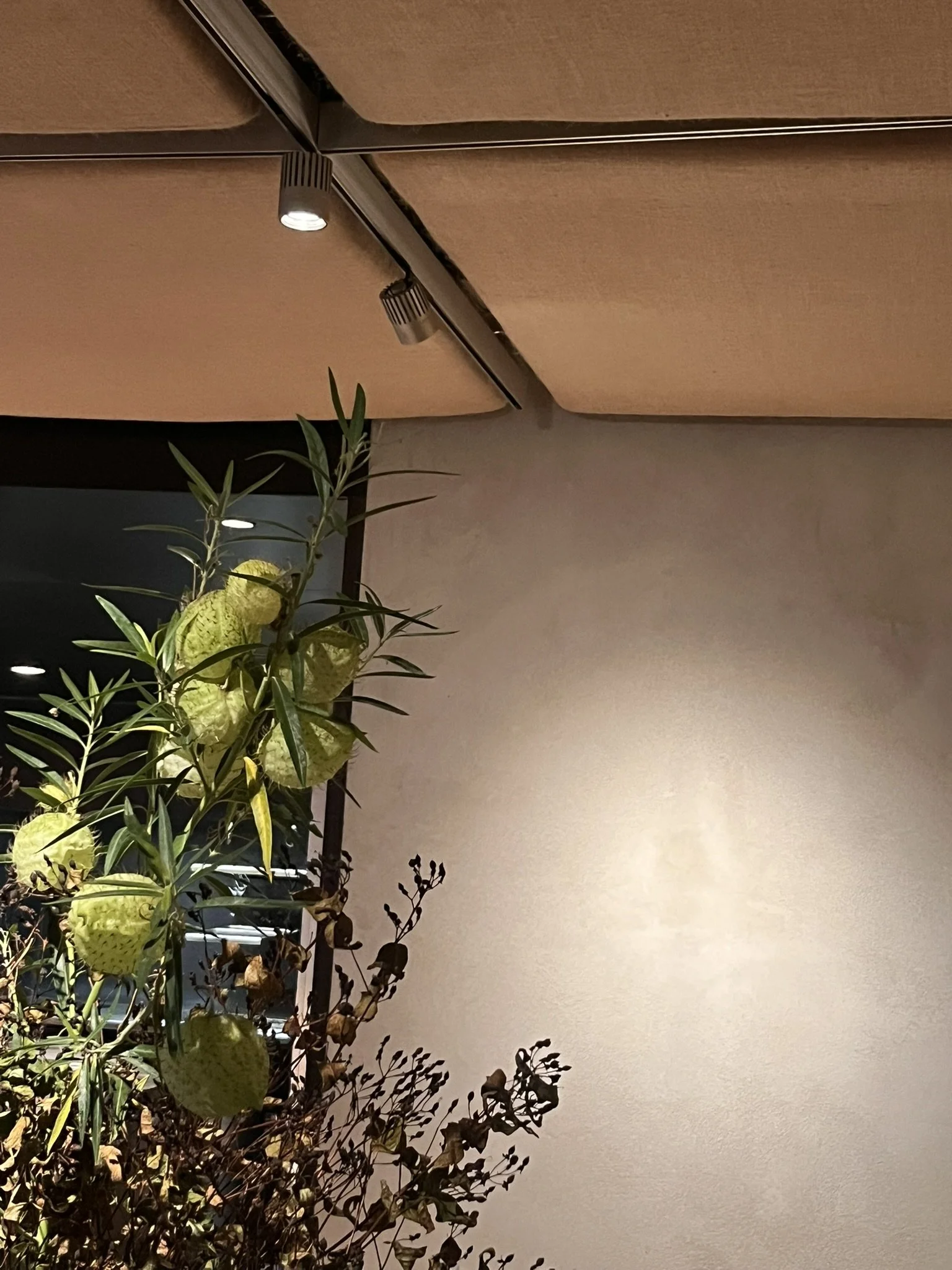 Legio_alouette_viabizzuno lighting.JPEG