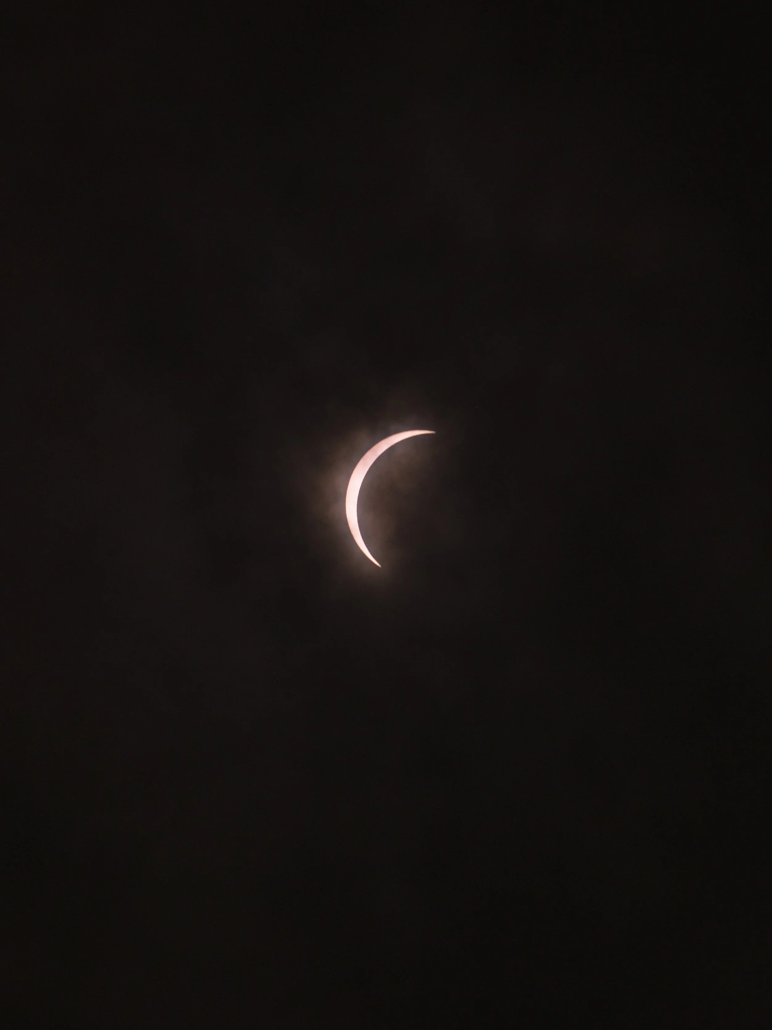 _4082481.jpg