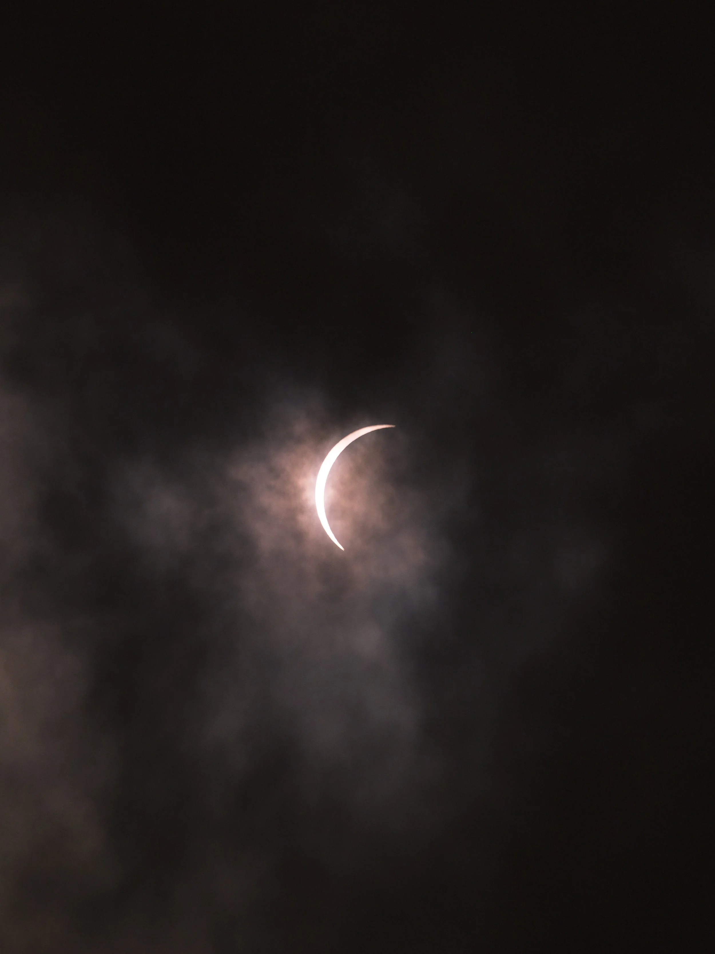 _4082486.jpg