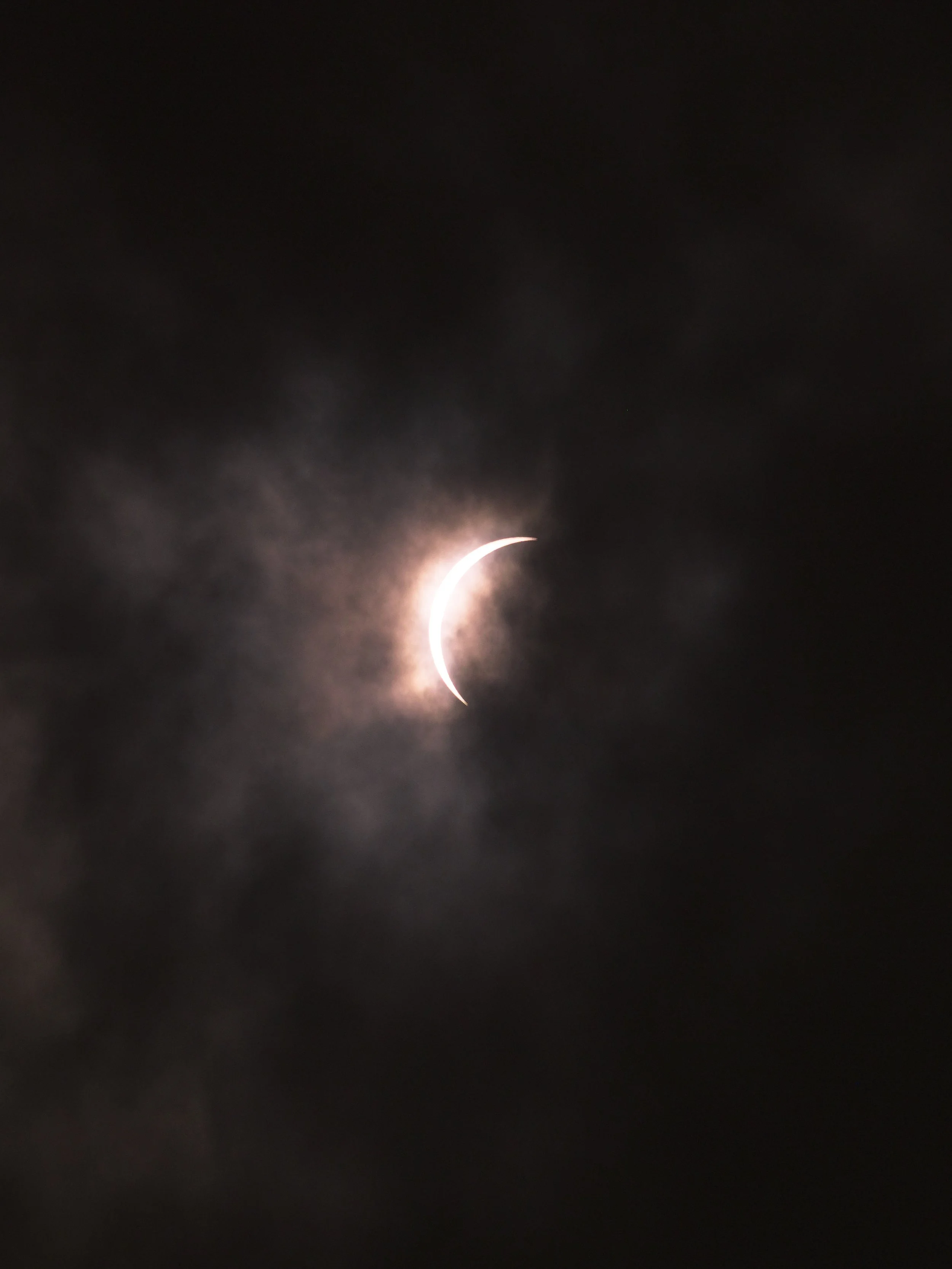 _4082487.jpg