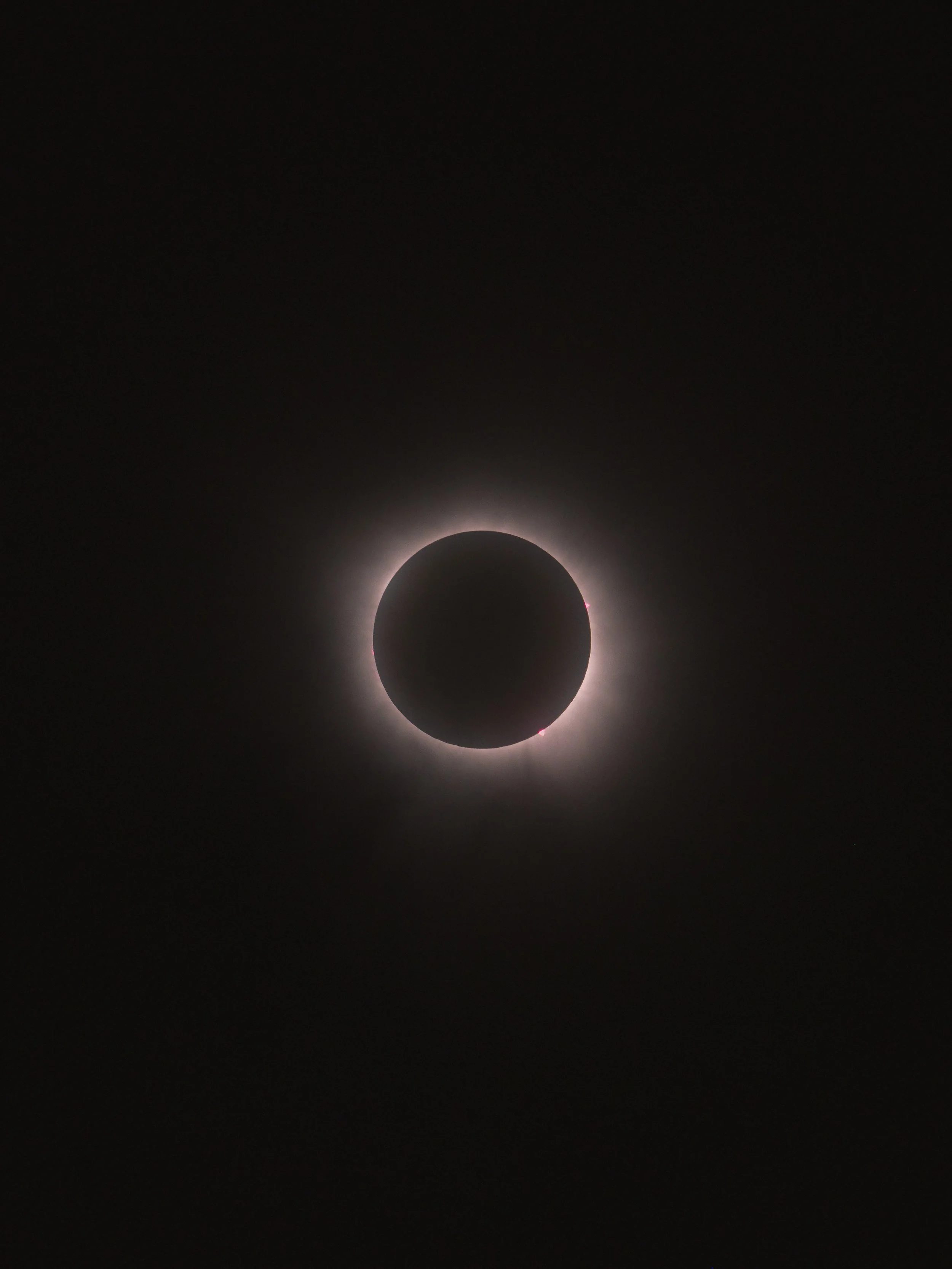 _4082541.jpg