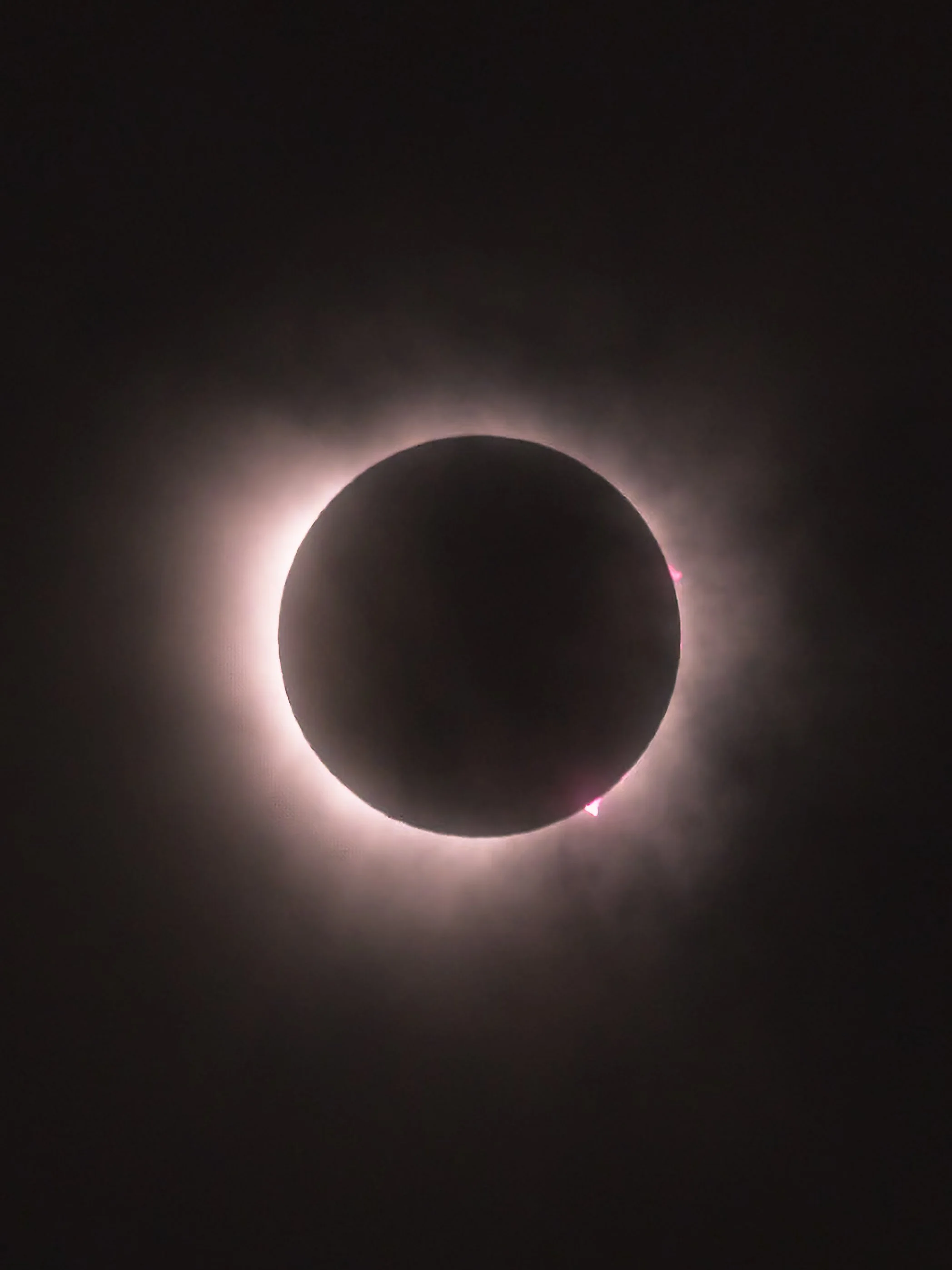 _4082557.jpg