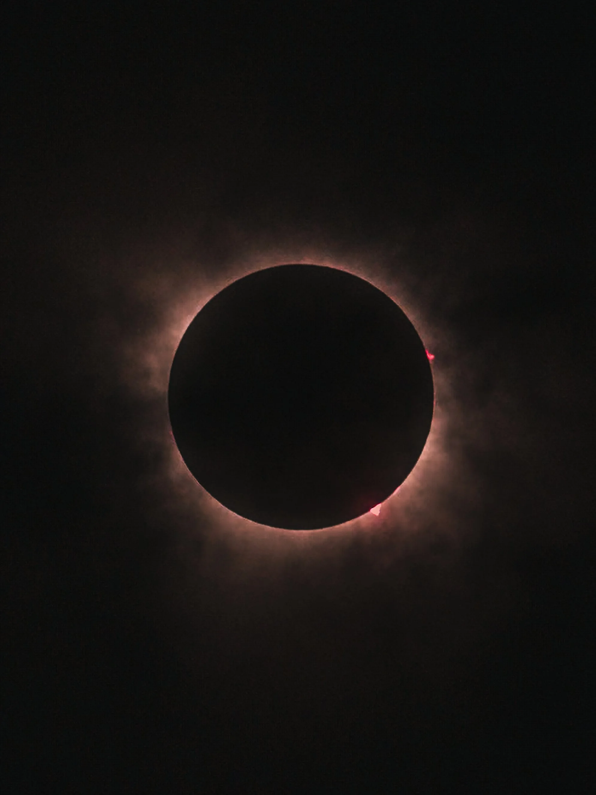 _4082556.jpg