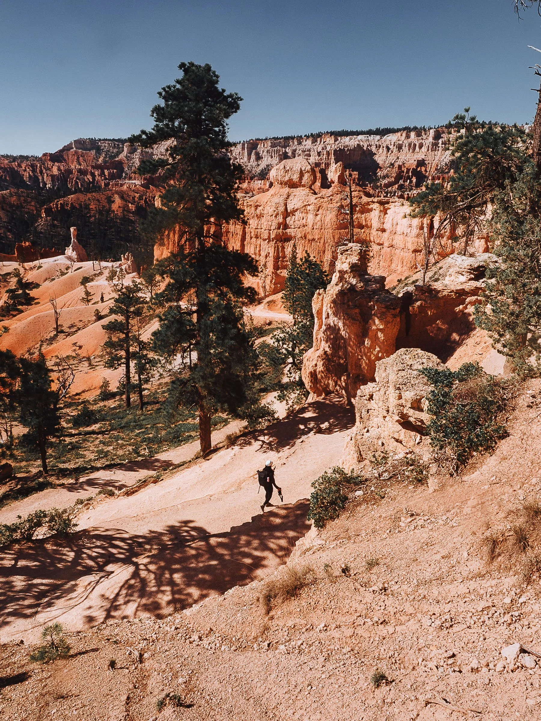 A solitary person hiking along a sandy trail in Bryce Canyon National Park with tall, reddish rock formations and sparse trees, under a clear blue sky.