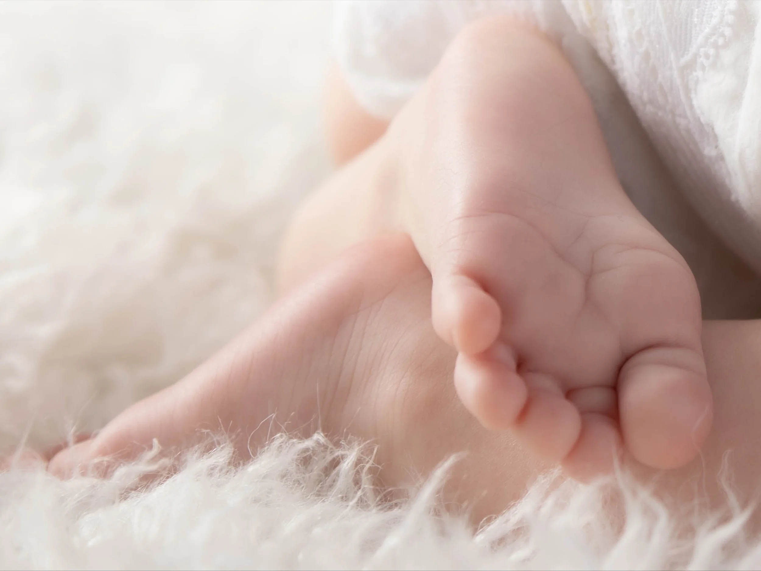 Newborn focení v ateliéru v Berouně
