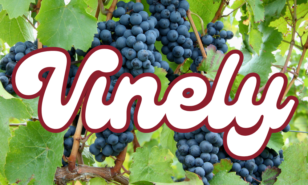Vinely logo.png