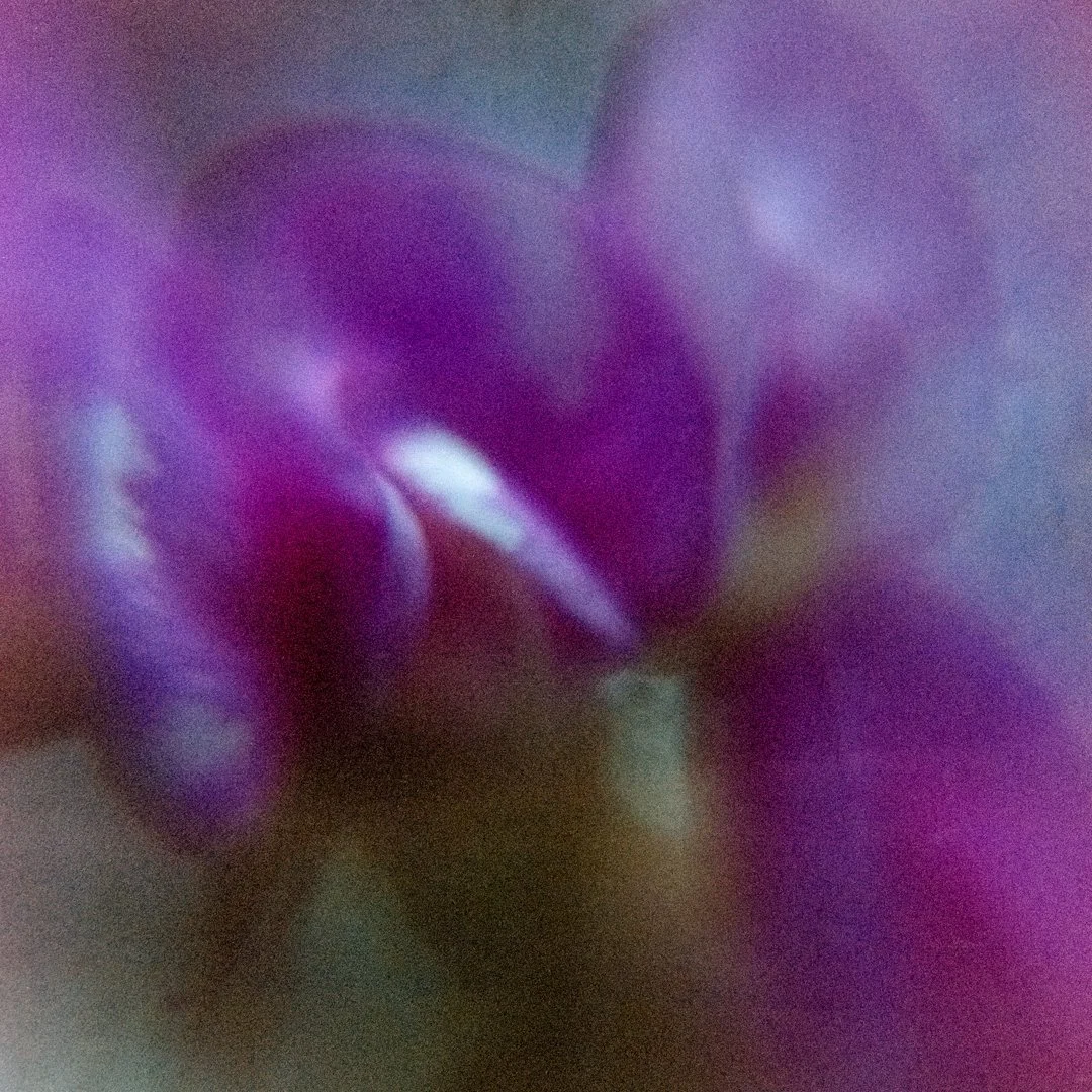DSCF0411-positive-Edit.jpg