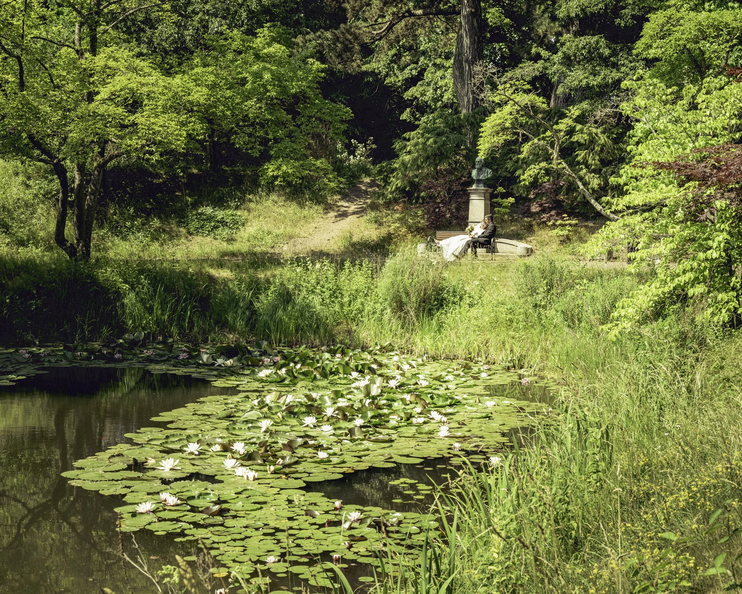 DSCF0797.jpg