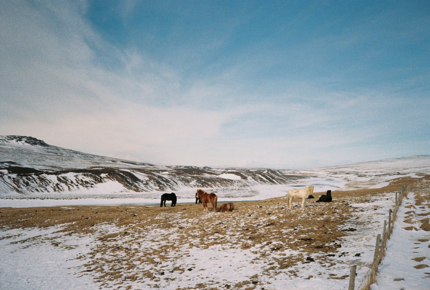 R1-08044-0029.JPG