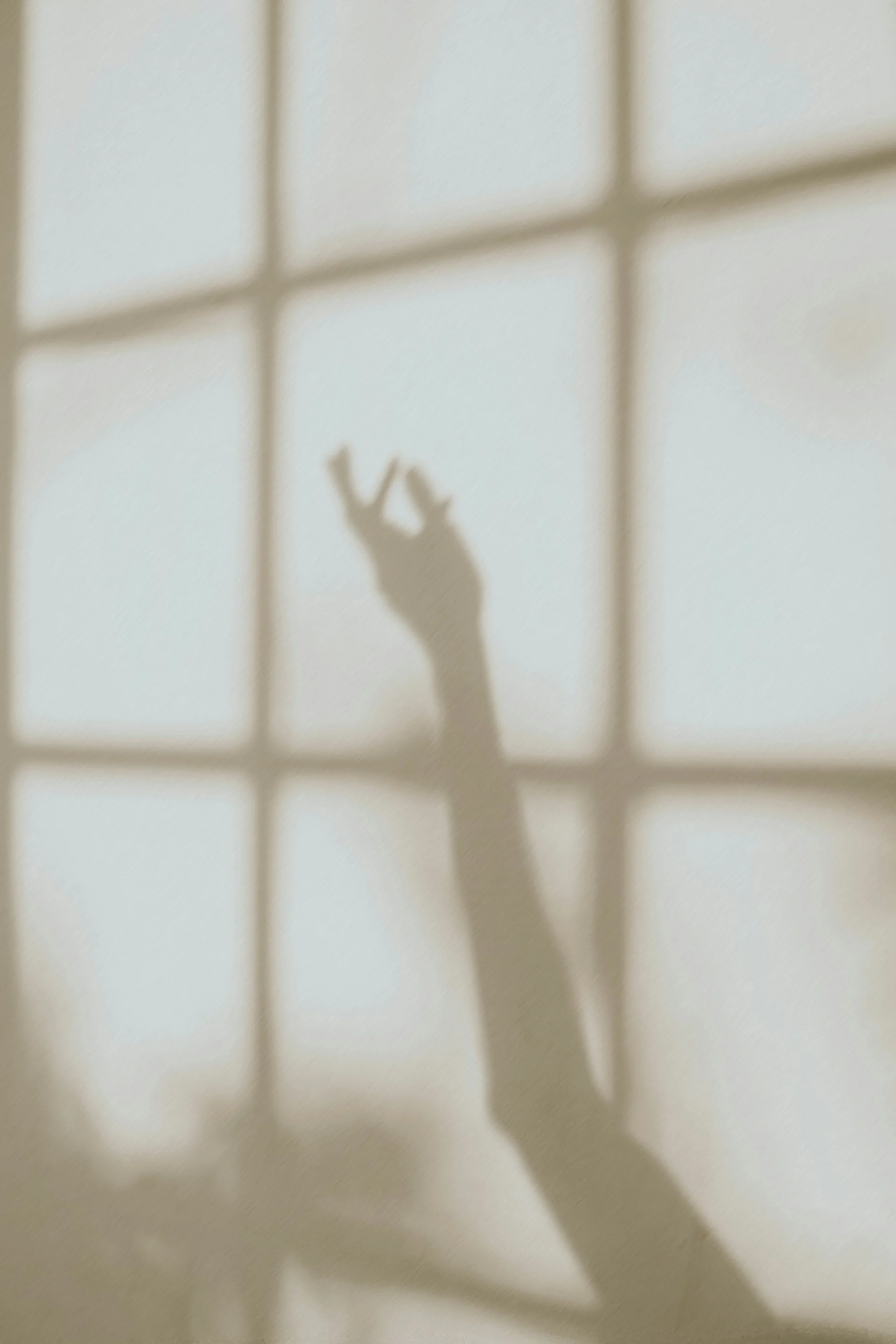 Der Schatten einer Hand, die durch ein Gitterfenster auf eine Wand fällt.