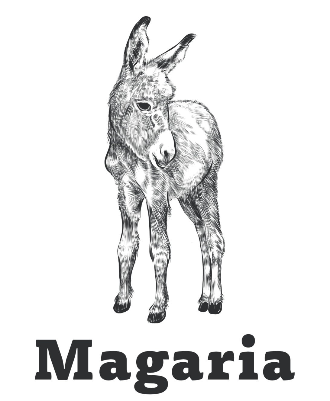 Magaria