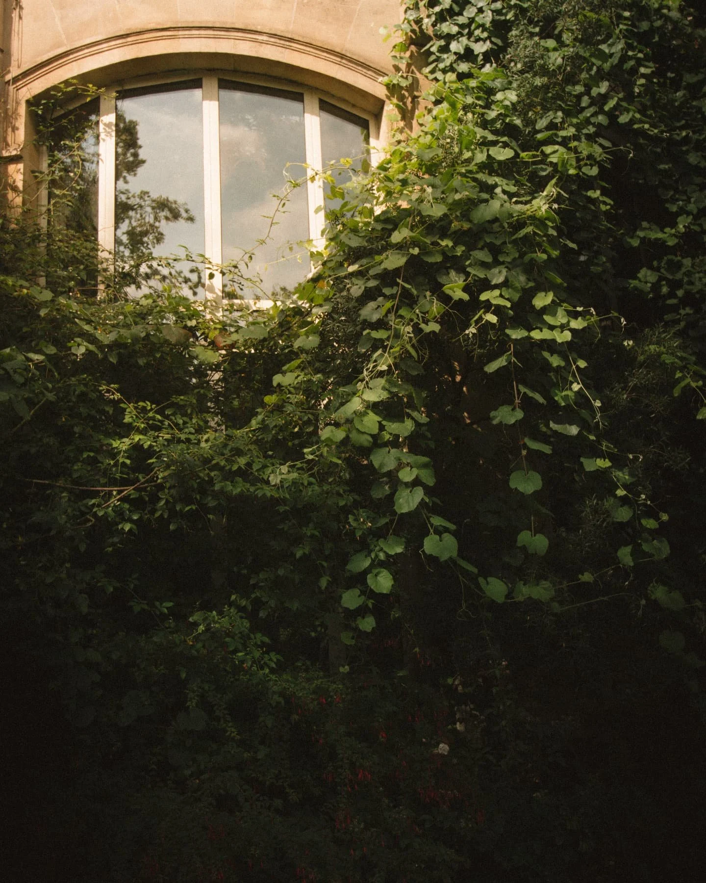 Postcards from Antwerp...&amp; I think you will love the last one aswell